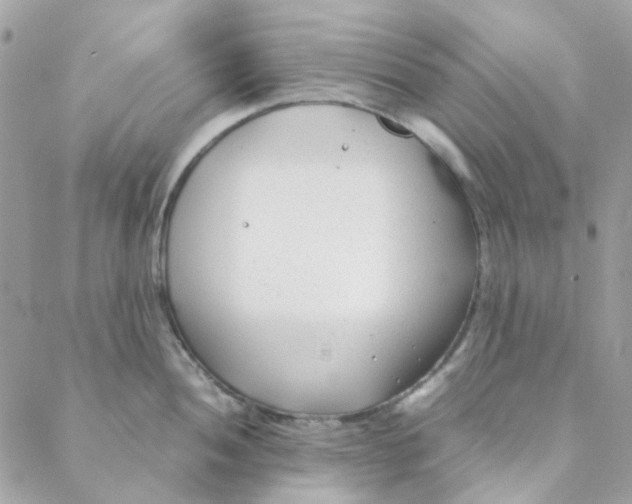 X0000088091052200706011559