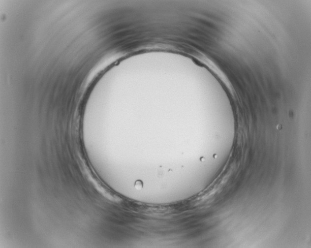 X0000088091053200706011559