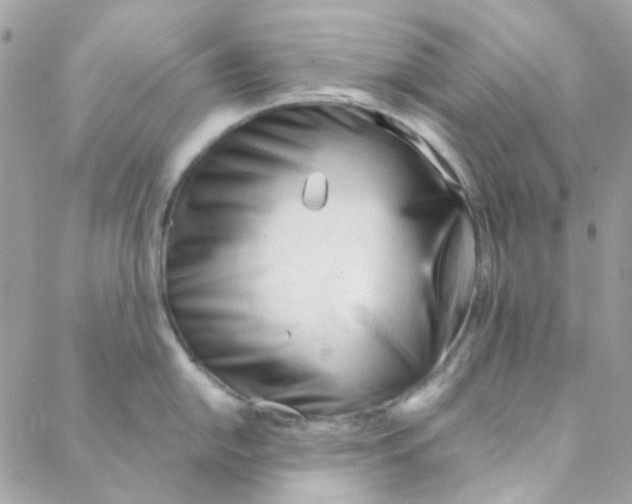 X0000088091054200706011559