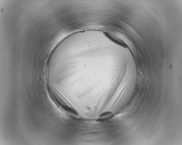 X0000088091055200706011559