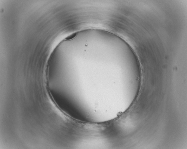 X0000088091056200706011559