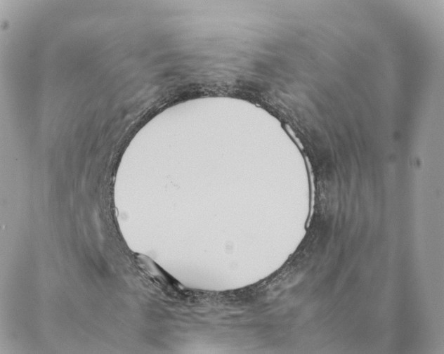 X0000088091057200706011558