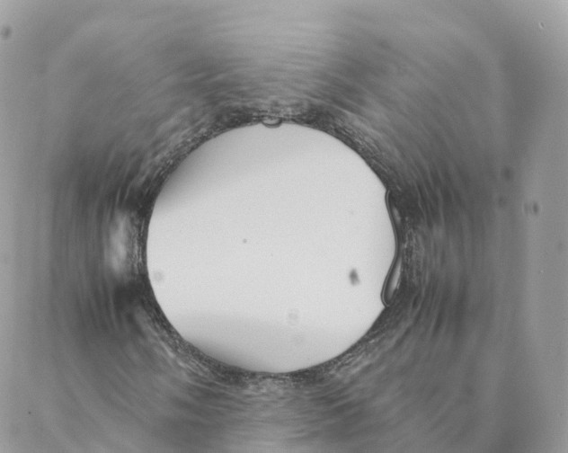 X0000088091058200706011558