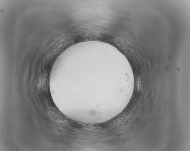 X0000088091059200706011558