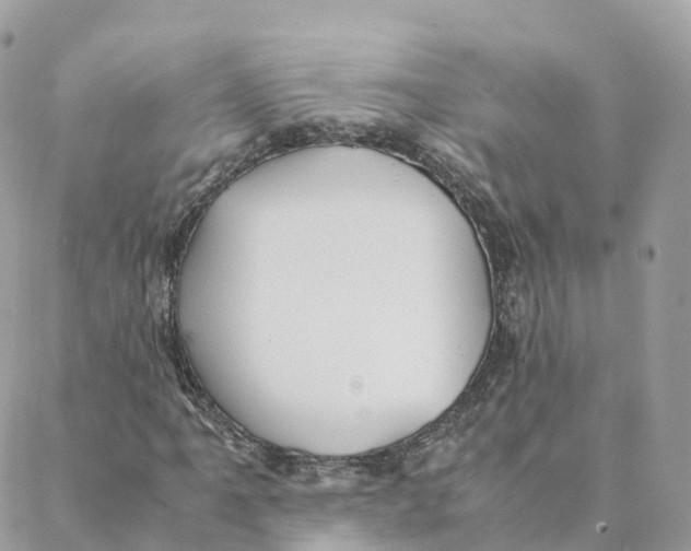 X0000088091061200706011558