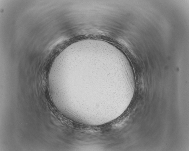 X0000088091063200706011558