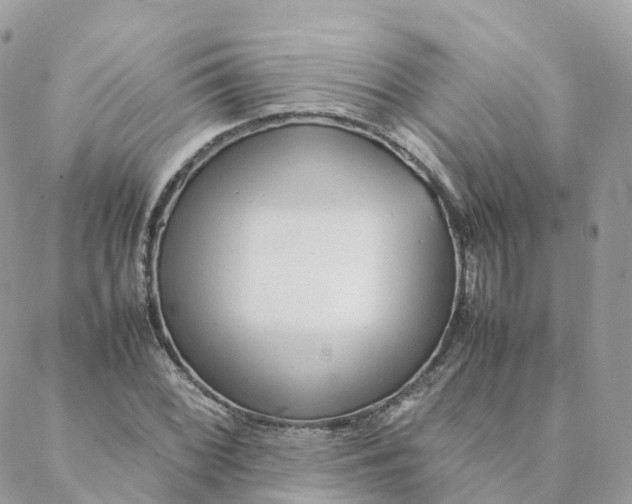 X0000088091068200706011558