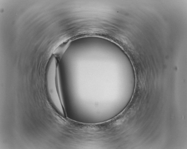 X0000088091073200706011558