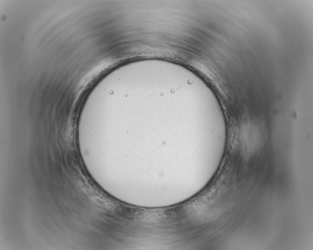 X0000088091074200706011558