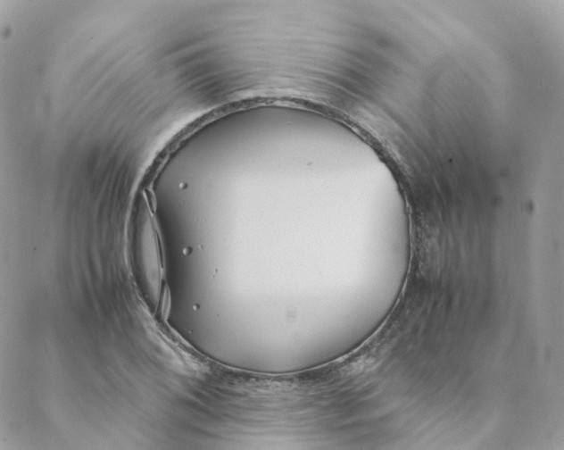 X0000088091076200706011558