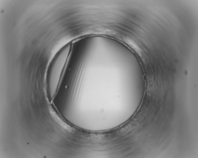 X0000088091080200706011558