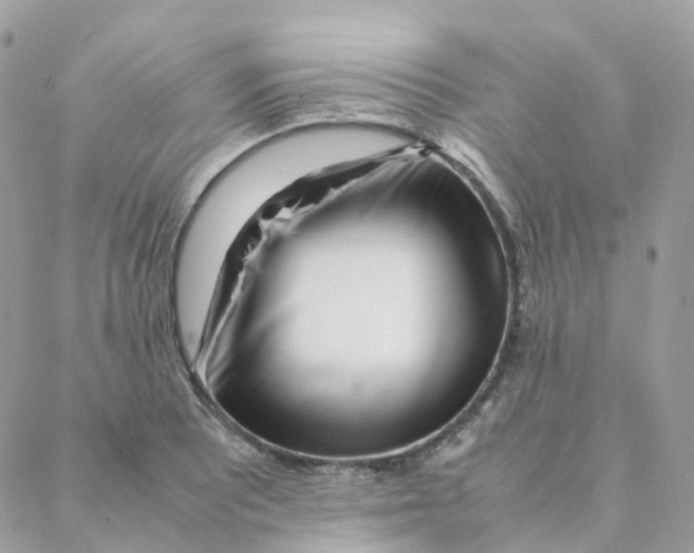 X0000088091081200706011558