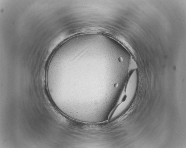 X0000088091083200706011557