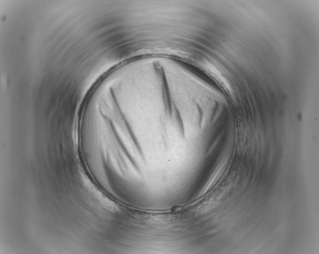 X0000088091084200706011557