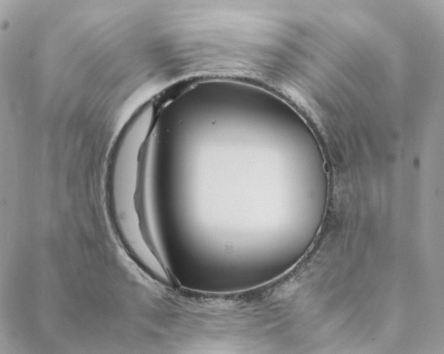 X0000088091085200706011557