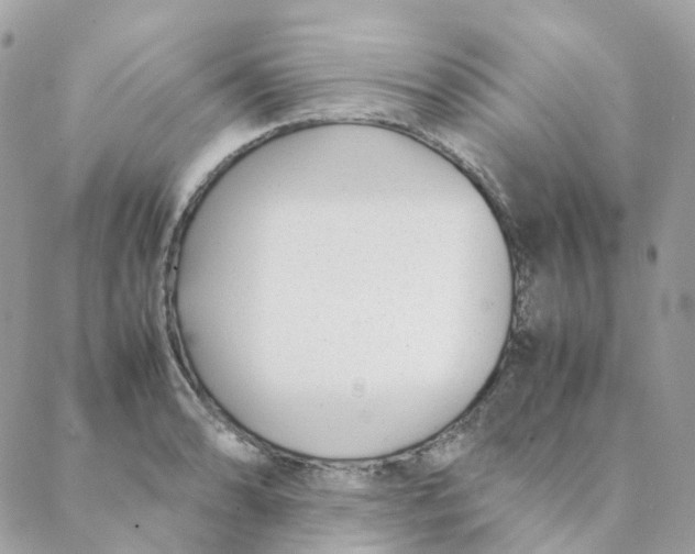 X0000088091086200706011557