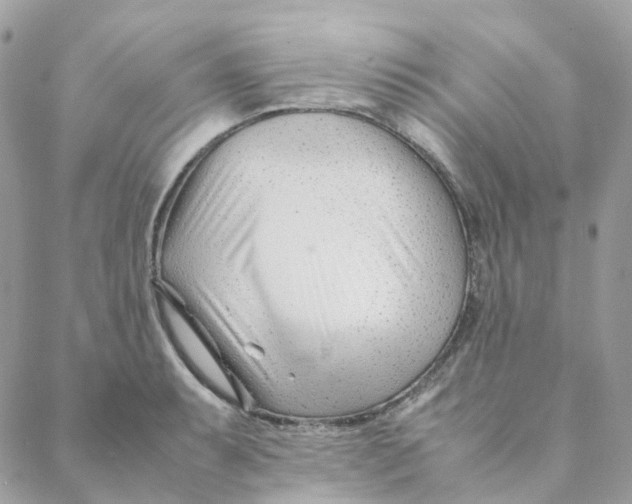 X0000088091087200706011557