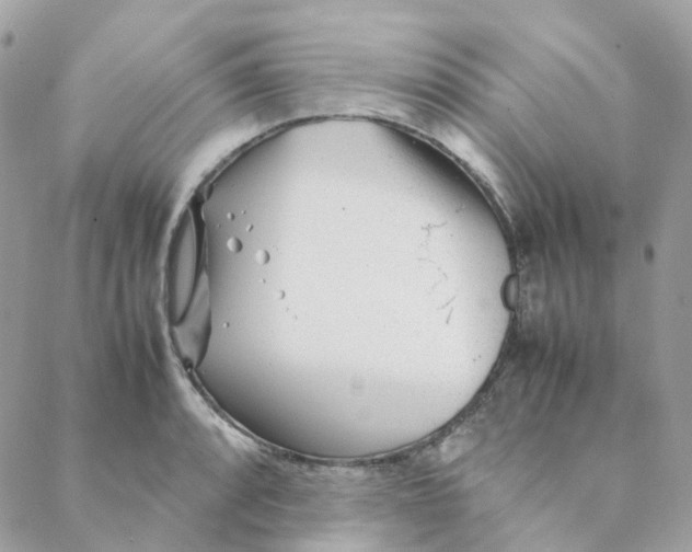 X0000088091088200706011557