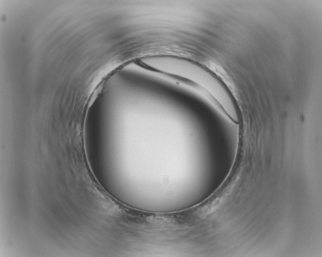 X0000088091089200706011557