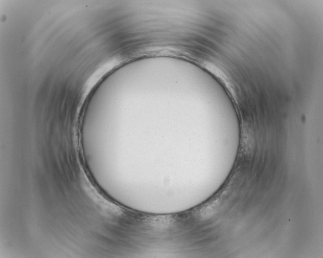 X0000088091090200706011557