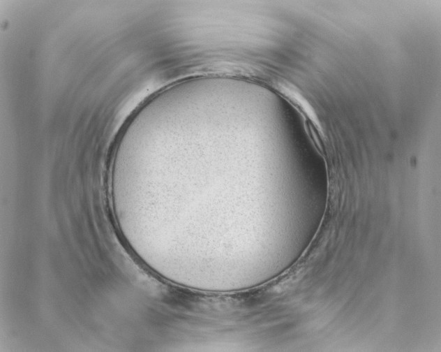 X0000088091091200706011557