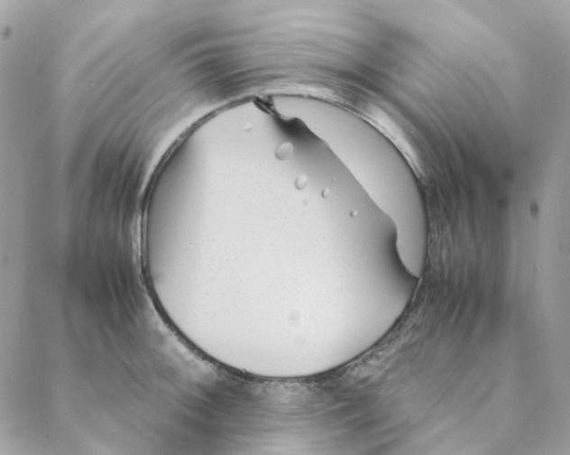 X0000088091092200706011557