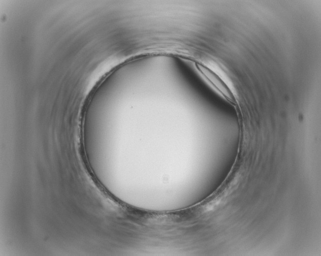 X0000088091093200706011557