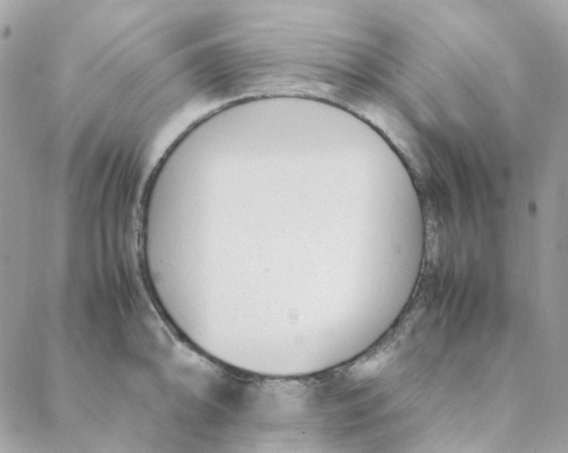 X0000088091094200706011557