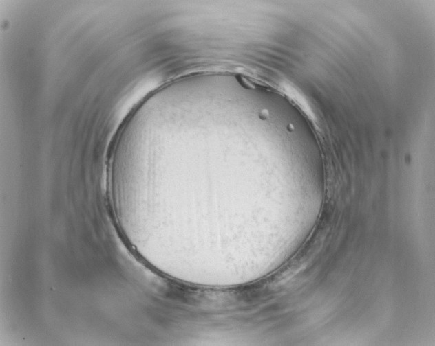 X0000088091095200706011557