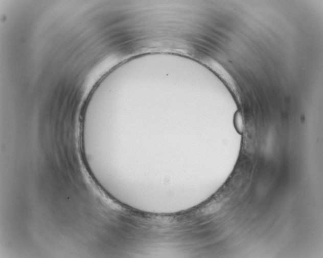 X0000088091096200706011557