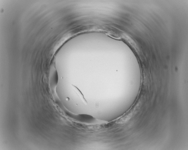 X0000088091097200706011557