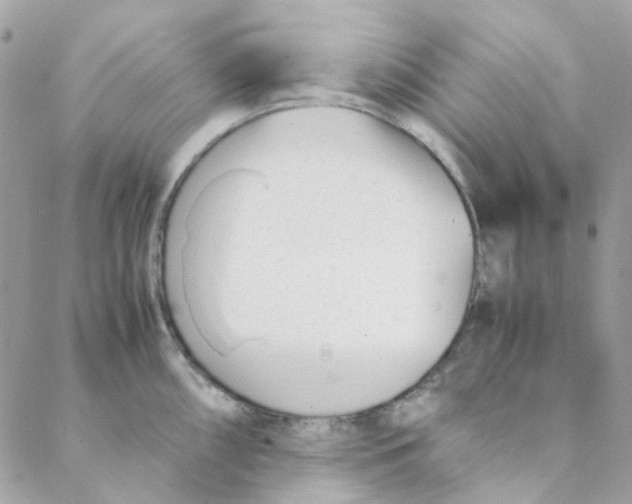 X0000088091098200706011557