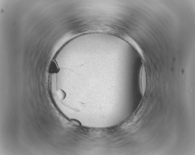 X0000088091099200706011557