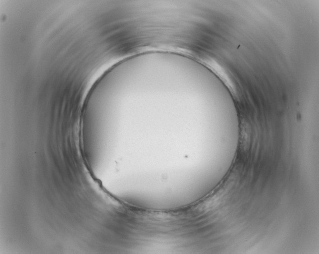 X0000088091100200706011557