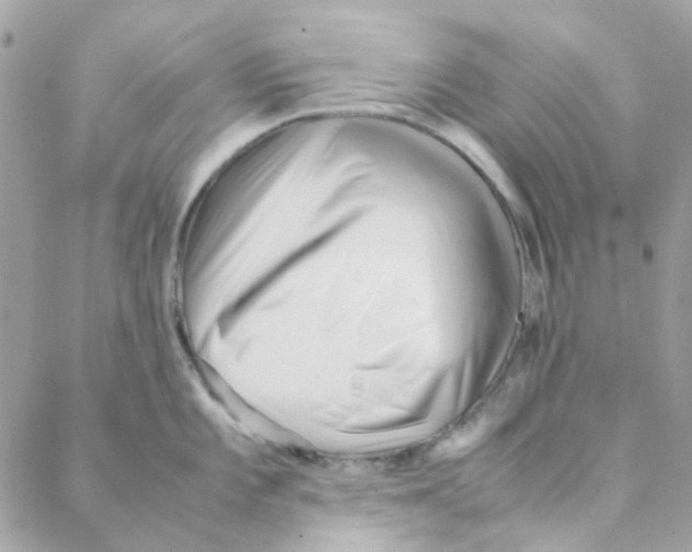 X0000088091101200706011557