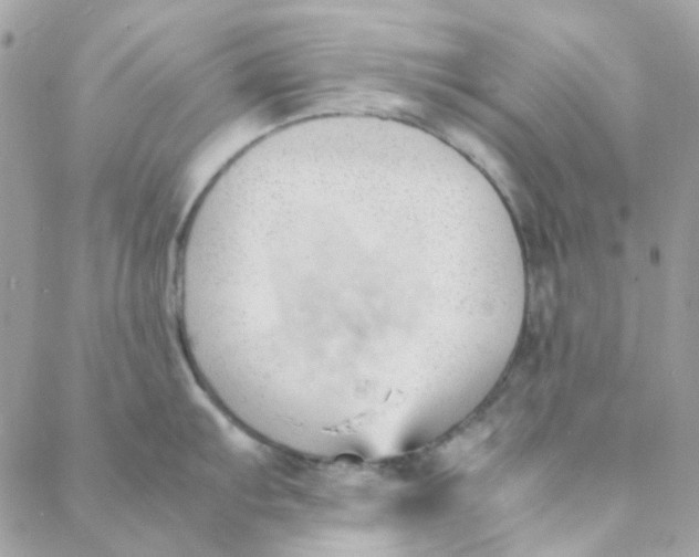 X0000088091103200706011557