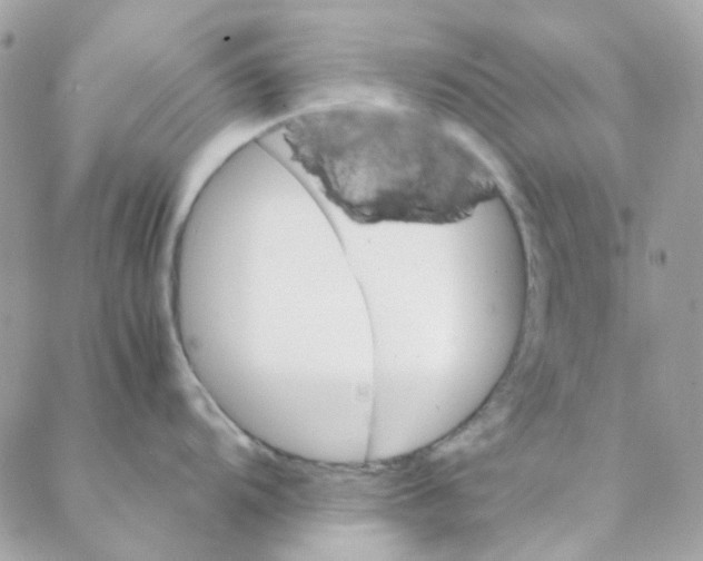 X0000088091104200706011557