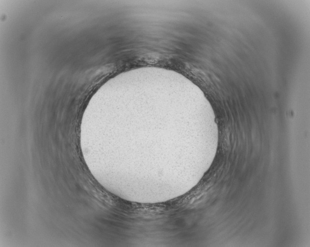 X0000088091105200706011556