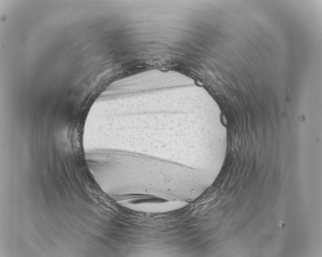 X0000088091106200706011556