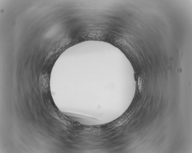 X0000088091107200706011556