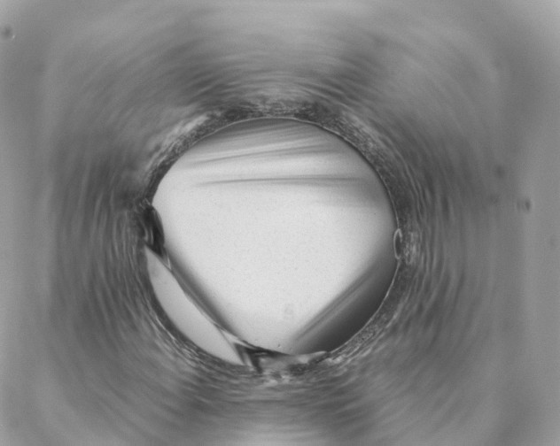 X0000088091108200706011556