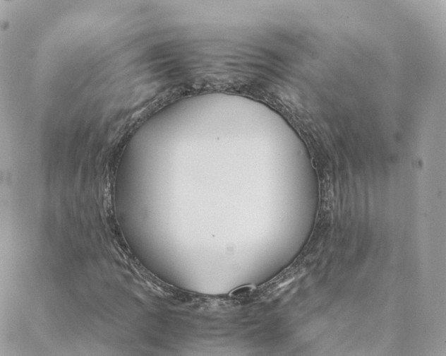 X0000088091109200706011556