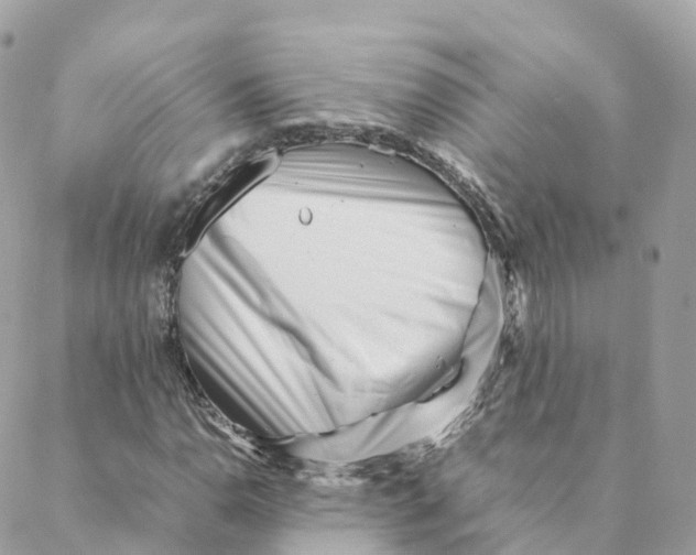 X0000088091110200706011556