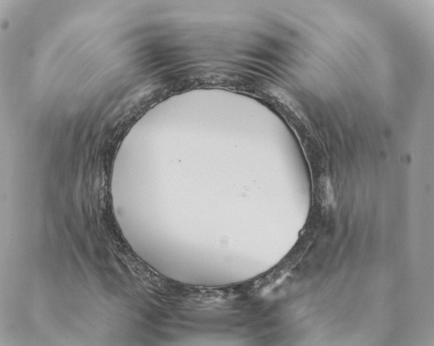 X0000088091111200706011556