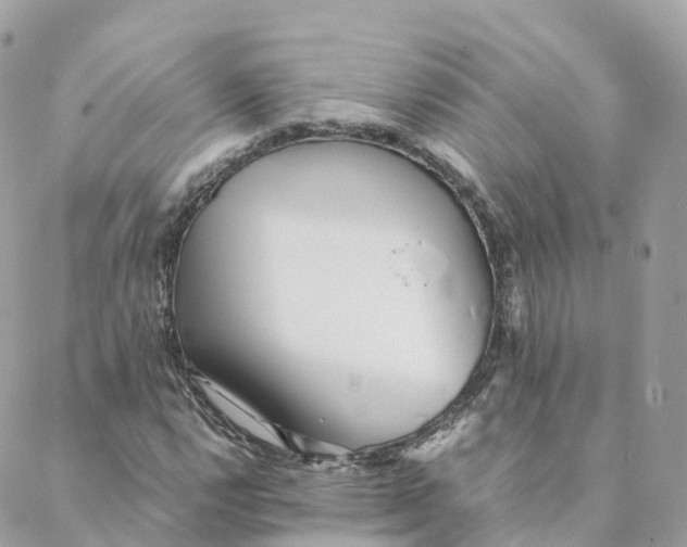 X0000088091112200706011556