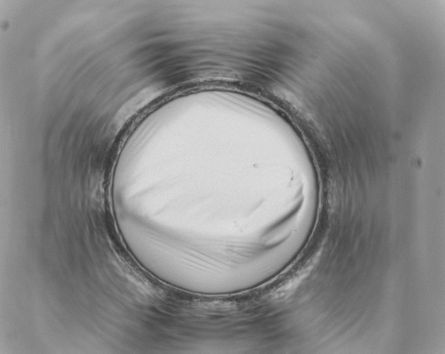 X0000088091113200706011556