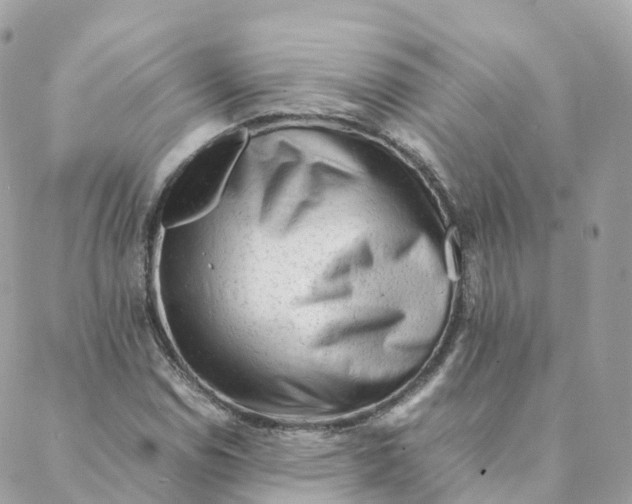 X0000088091114200706011557