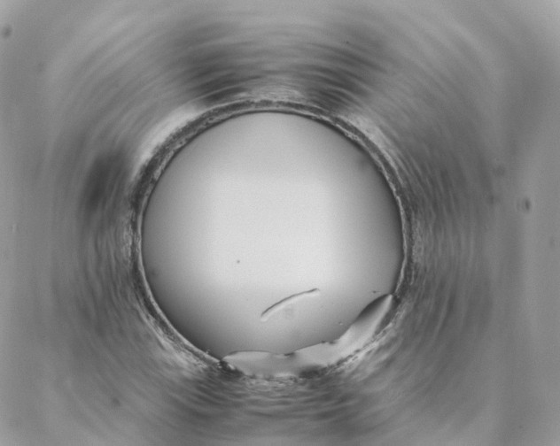 X0000088091115200706011557