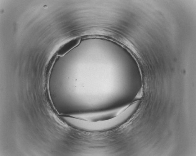 X0000088091116200706011557