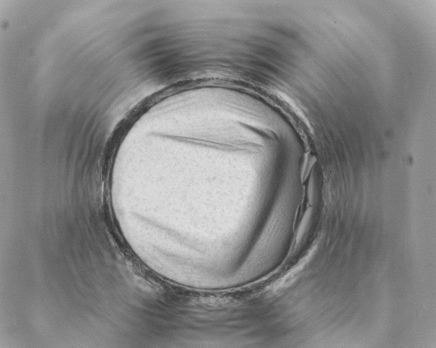 X0000088091117200706011557